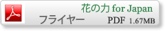 フライヤーpdf