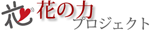 花の力 プロジェクト：震災復興支援団体